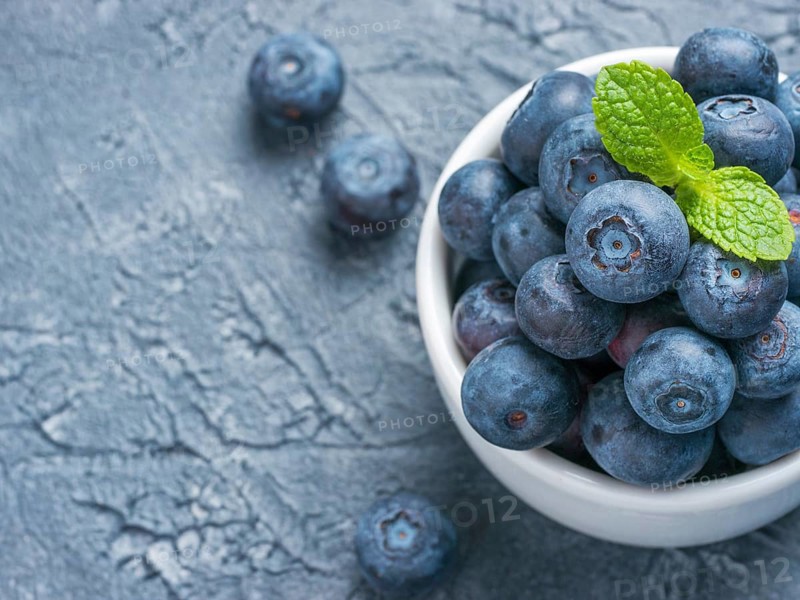 Freshly picked blueberries closeup. Ripe and juicy fresh blueberry with green mint leaves on textured concrete background. Bilberry on gray background with copyspace. Top view or flat lay
