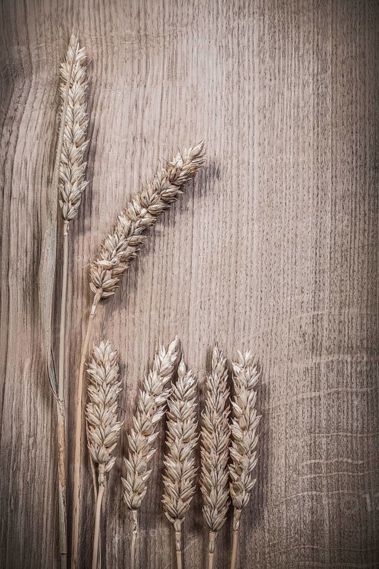 Composition of wheat rye ears on wooden board