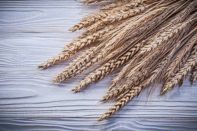 Heap of golden wheat rye ears on wooden board food and drink concept