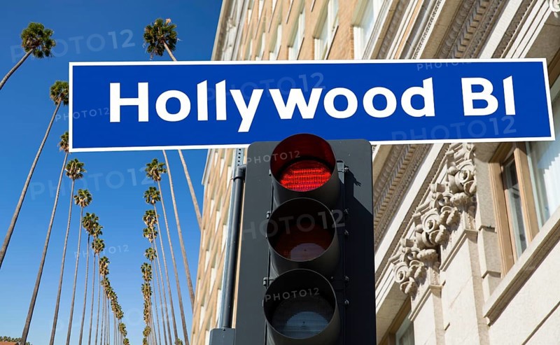 Hollywood Boulevard redlight sign illustration on palm trees background