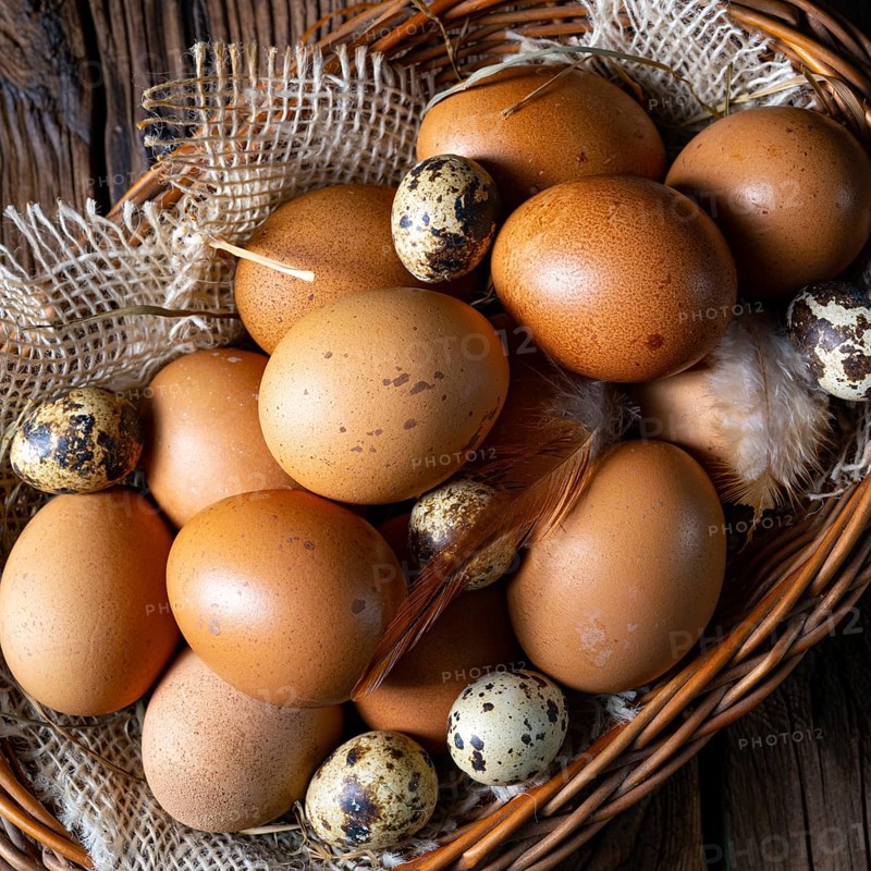 Fresh eggs straight from the farm in a basket