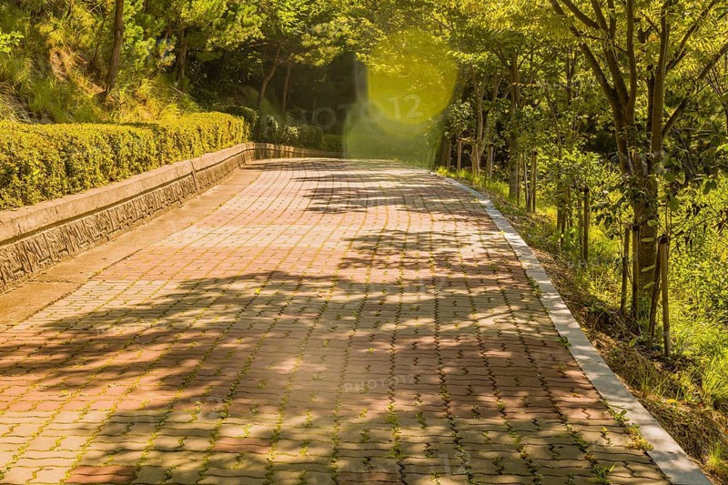 Lens flares highlighting wide brick tree lined walkway with concrete brick wall lined with trimmed hedges in a mountain park in South Korea