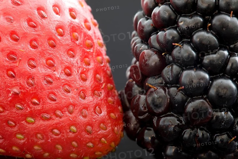 Strawberry and Blackberry Close up macro studio