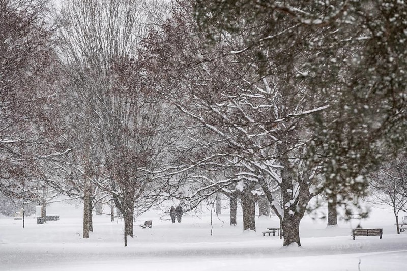 Heavy snow squalls of lake-effect snow falls over Springbank Park in London, Canada. Environment Canada predicted 25-35cm of snow would fall over the region in 24 hours in London, Ontario, Canada, North America