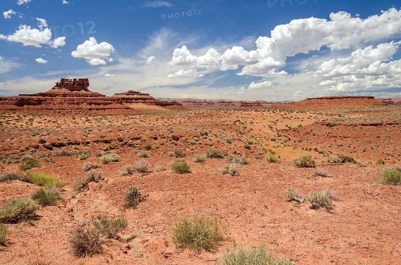Scenic desert landscape with red mesas in the Valley of the Gods in Utah, United States, North America
