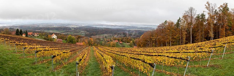 Morning atmosphere at the vineyard, fog drifts over the wooded hilly landscape in the valley, panoramic shot, St. Andrä-Höch, Sausal wine country, Styria, Austria, Europe