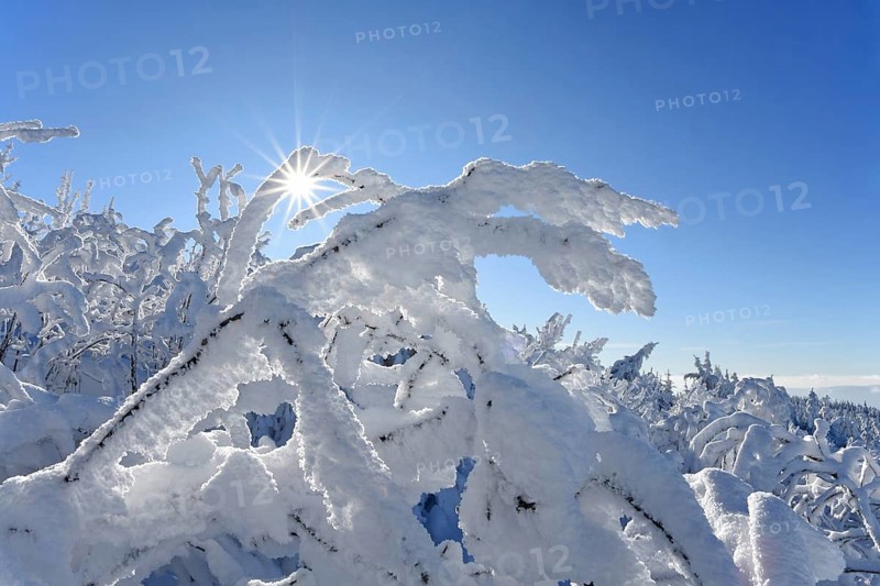 Winter landscape with hoarfrost, Hornisgrinde, Central Black Forest nature park Park, Ortenaukreis, Northern Black Forest, Baden-Württemberg, Germany, Europe
