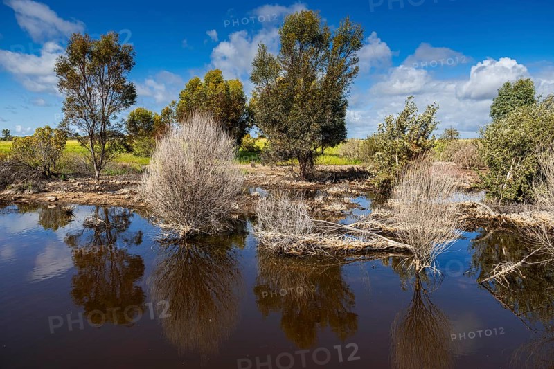 Landscape with wetland in the outback, Western Australia, Australia, Oceania