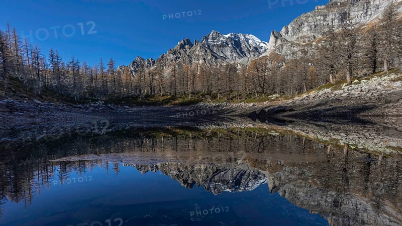 A tranquil mountain lake reflects the surrounding snow-capped mountains and clear blue sky, Lago Nero, Punta di Boccareccio 3207 m, Alpe Devero, Val d'Ossola, Province of Verbano-Cusio-Ossola, Piedmont, Italy, Europe