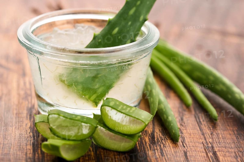 Aloe vera juice with fresh leaves