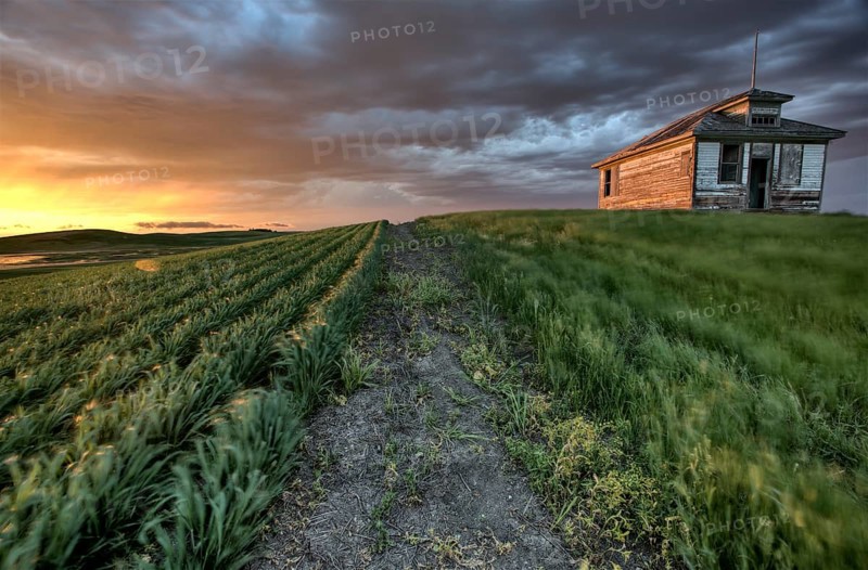 Sunset nad durum wheat crop storm clouds