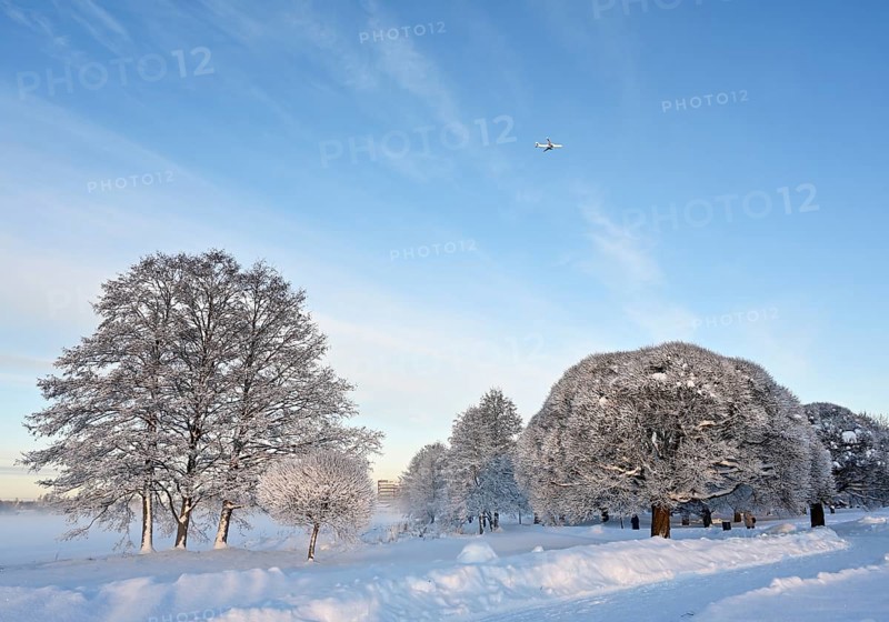 Beautiful winter landscape in the park on a sunny day, airplane in the blue sky, trees and bushes covered with snow