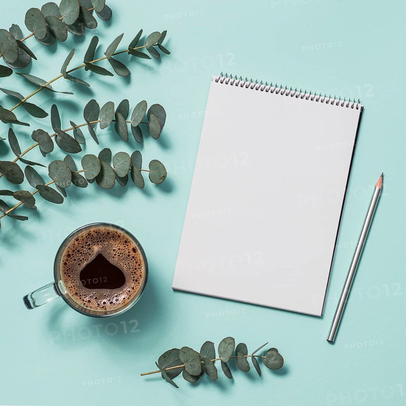 Blank paper notebook with pencil and coffee cup. Empty paper sketchbook with pincil and eucalyptus branches on blue background. Top view or flat lay. Copy space for text or design