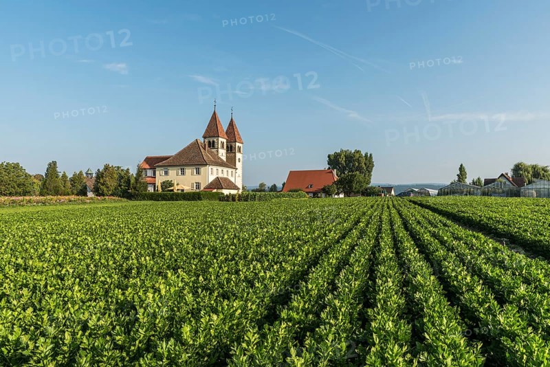 Church of St Peter and Paul, Reichenau Island, UNESCO World Heritage Site, Niederzell, Lake Constance, Baden-Württemberg, Germany, Europe
