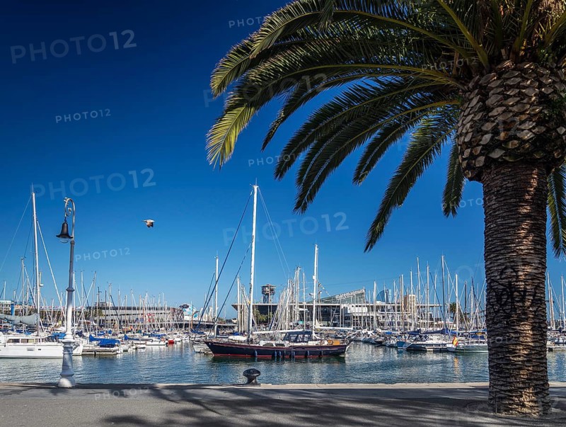 Urban marina view and pedestrian promenade in port vell area of barcelona spain
