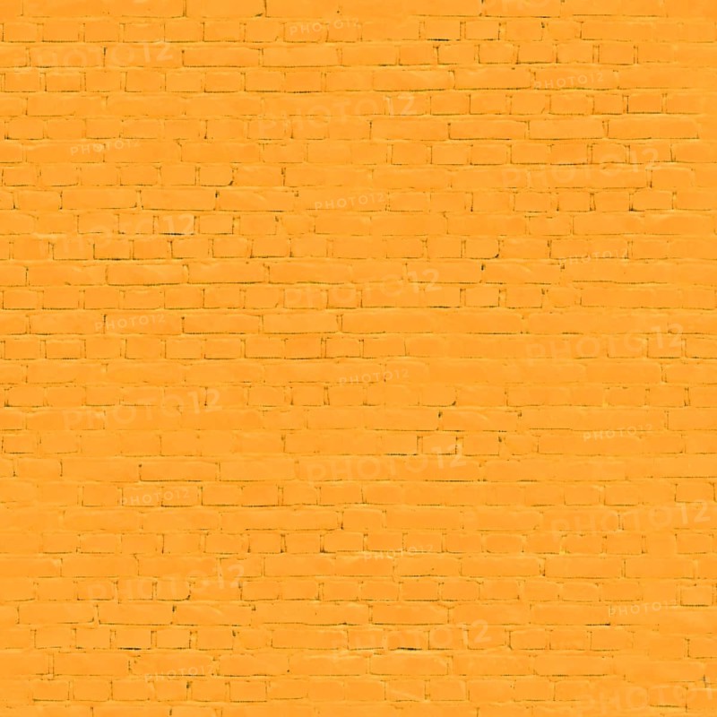 Uniform orange painted brick wall creating a vibrant backdrop.Belarus