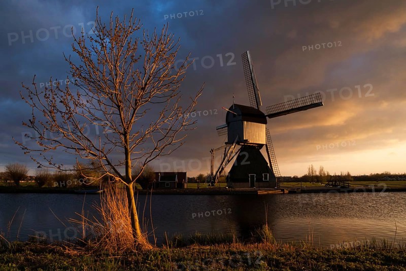 Kinderdijk windmill lights up in warm evening light
