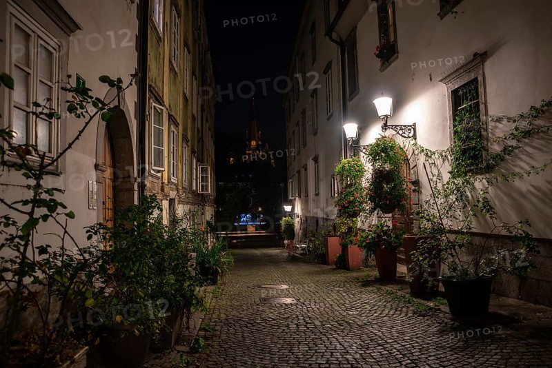 Scenic little Krizevniska alley in Ljubljana illuminated at night, arranged with plants at the sides, Slovenia, Europe