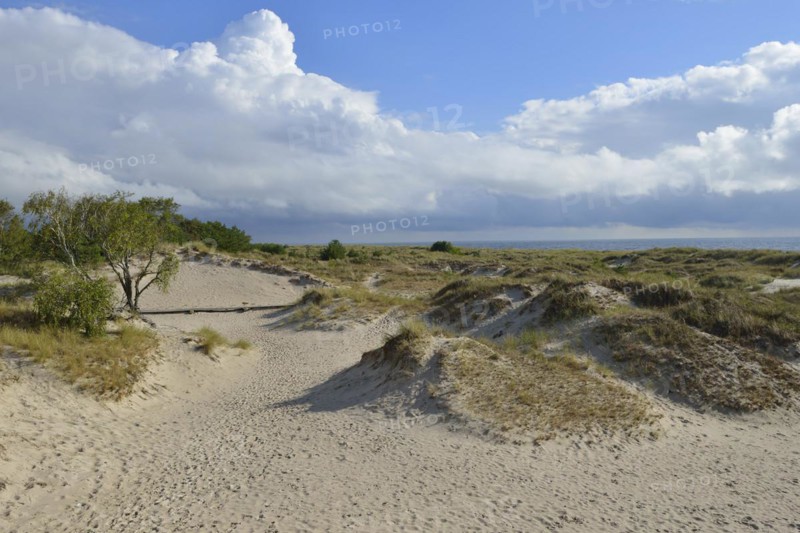 Sandhammaren is a Swedish coastal strip on the Baltic Sea. It is the southeasternmost point of the Swedish Baltic Sea coast. Sandhammaren nature reserve. Sandhammaren is a Swedish coastline of the Baltic Sea. He is the most south-eastern point of the Swedish coast.nature reserve Sandhammaren