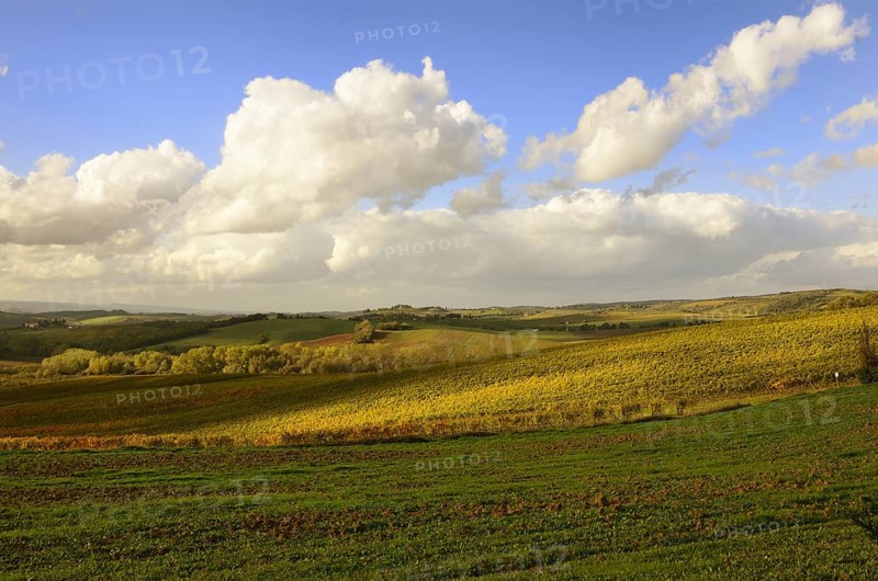 A beautiful tuscan landscape with autumnal colours