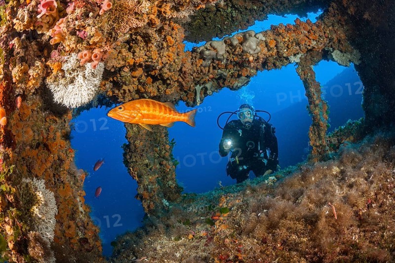 Scuba Diver at Vassilios Wreck, Vis Island, Mediterranean Sea, Croatia | Scuba Diver at Vassilios Wreck, Vis Island, Mediterranean Sea, Croatia, Europe