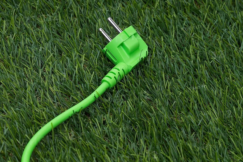 The photo shows a piece of lawn with a green power cable
