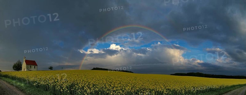 Panorama, chapel and rainbow over a rapeseed field