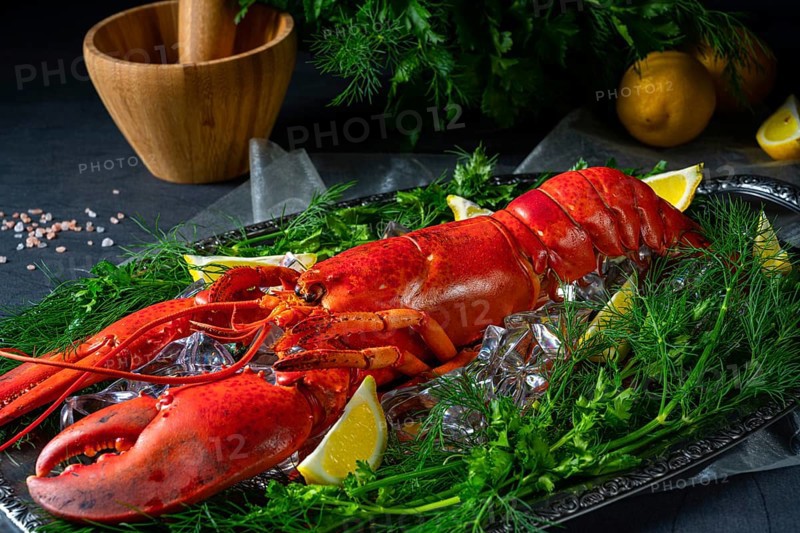 The cooked lobster on ice