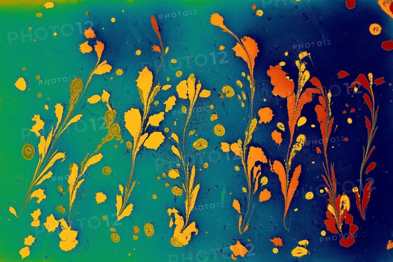 Beautiful abstract art of Ebru marbling painting techniques on water with acrylic paints