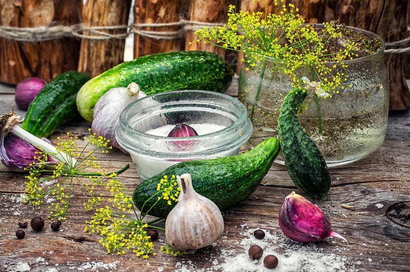 Cucumber pickled with dill and garlic on wooden table.Photo tinted