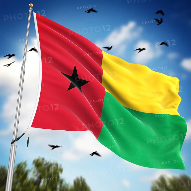 Flag of Guinea Bissau, This is a computer generated and 3d rendered image