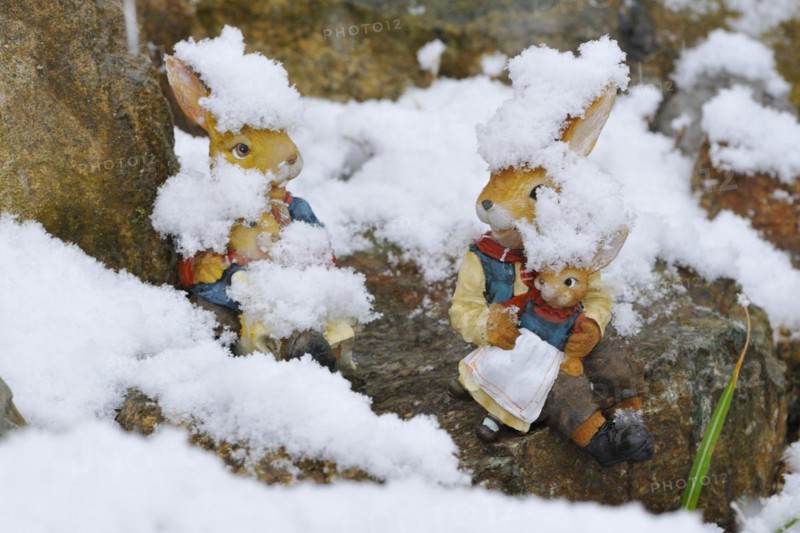 Easter in the snow, Easter bunnies in the snow