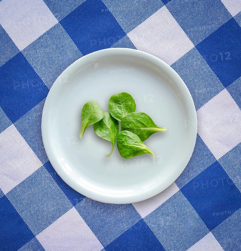 Diet Concept Image Of Spinach Salad Leaves On A White Plate On A Checked Table Cloth