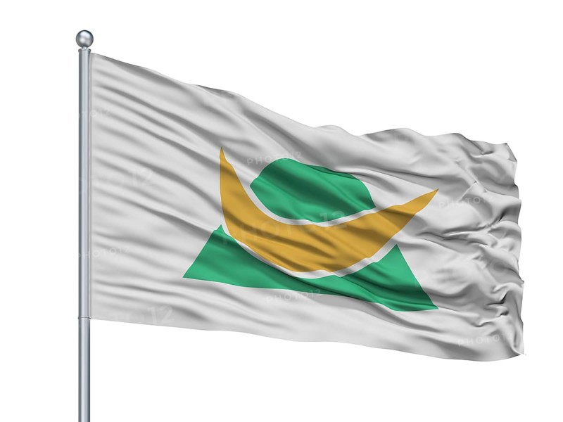 Shinshiro City Flag On Flagpole, Country Japan, Aichi Prefecture, Isolated On White Background