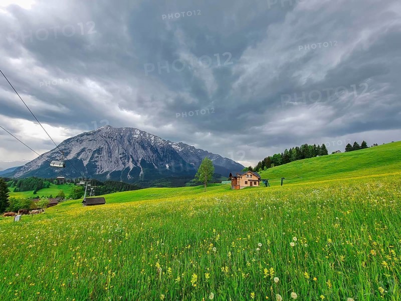 Summer austrian landscape with Grimming mountain (2.351 m), an isolated peak in the Dachstein Mountains, view from small alpine village Tauplitz, Styria, Austria, Europe