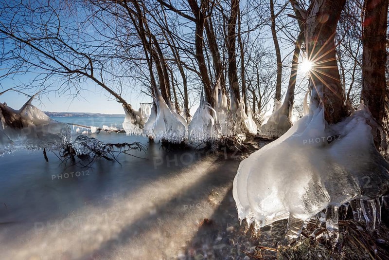 Icy trees with sunlight shining through the branches, wintry atmosphere, Hörnle, Constance, Lake Constance, Baden-Württemberg, Germany, Europe
