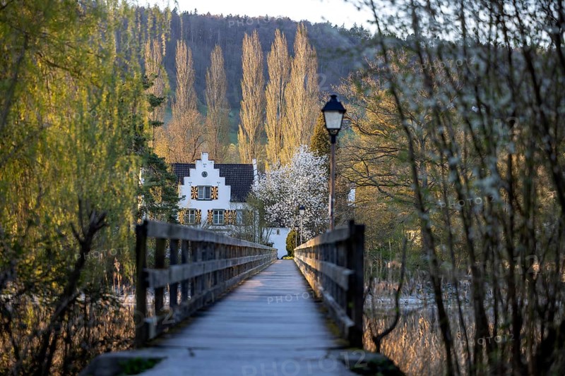 Wooden footbridge to the island of Werd, monastery island, Untersee, Eschenz, Thurgau, Switzerland, Europe