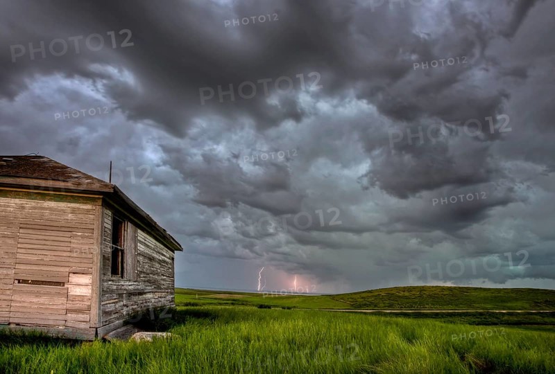 Sunset and durum wheat crop storm clouds