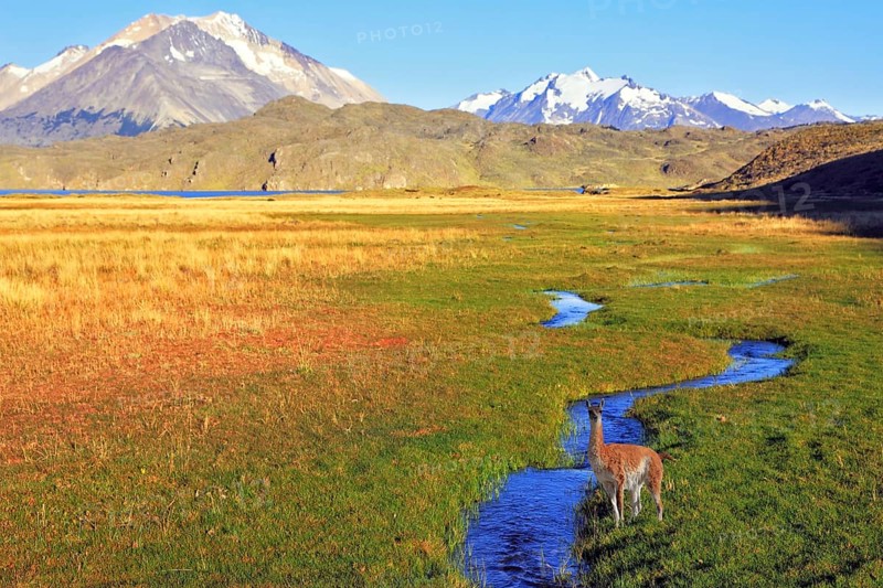 The solitary Estancia in the national park Perito Moreno in Argentina.The huge valley surrounded by snow-capped mountains. Crosses the picturesque valley of the creek