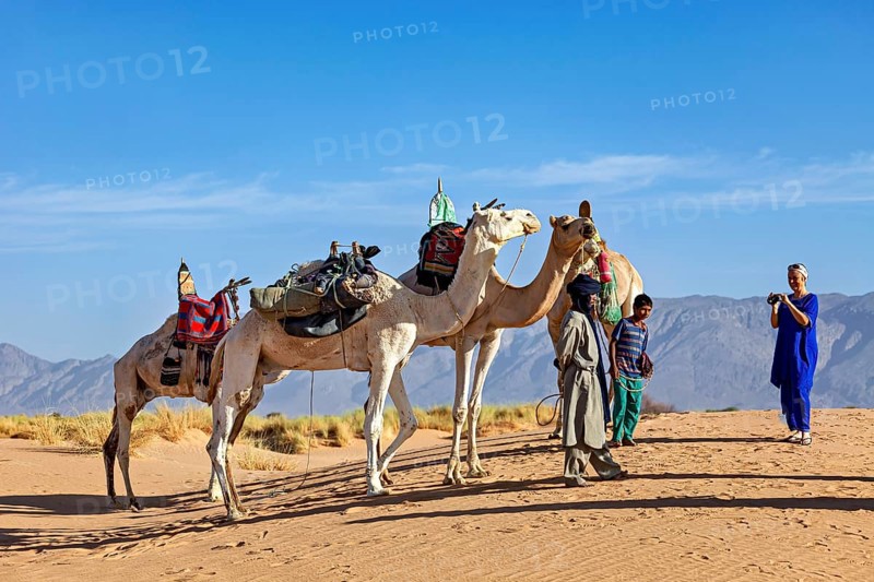 Group of camels with people in a sandy desert landscape with mountains in the background, Tuareg with his camel caravan in the Sahara in Algeria