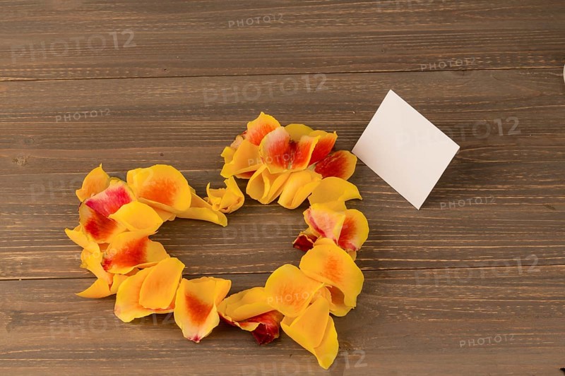Roses as a gift and surprise for a celebration. Symbol photo for birthday, Mother's Day, love, Valentine's Day Austria