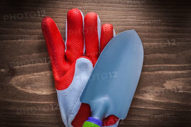 Protective gloves and stainless gardening shovel agriculture concept