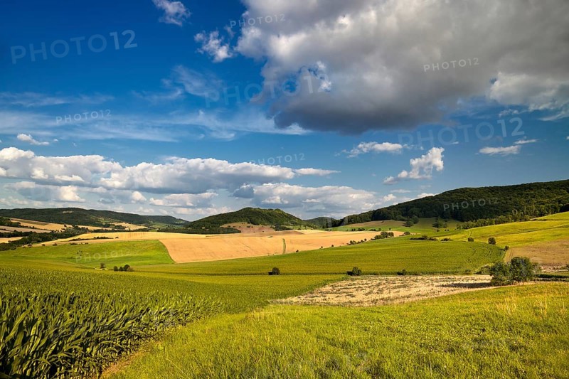 Summer landscape near Jena with cloudy blue sky