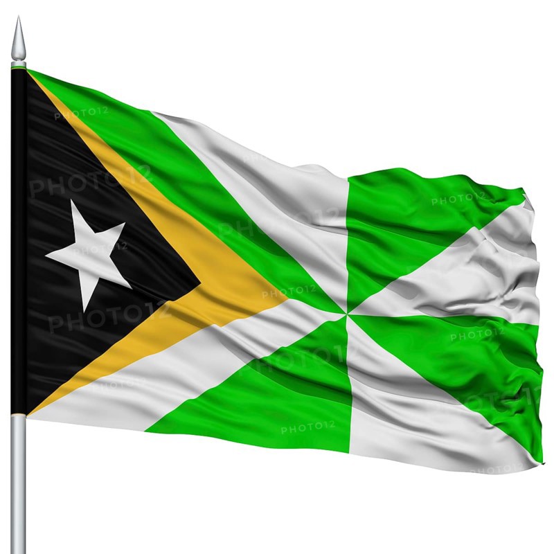 Dili City Flag on Flagpole, Capital City of East Timor, Timor-Leste, Flying in the Wind, Isolated on White Background
