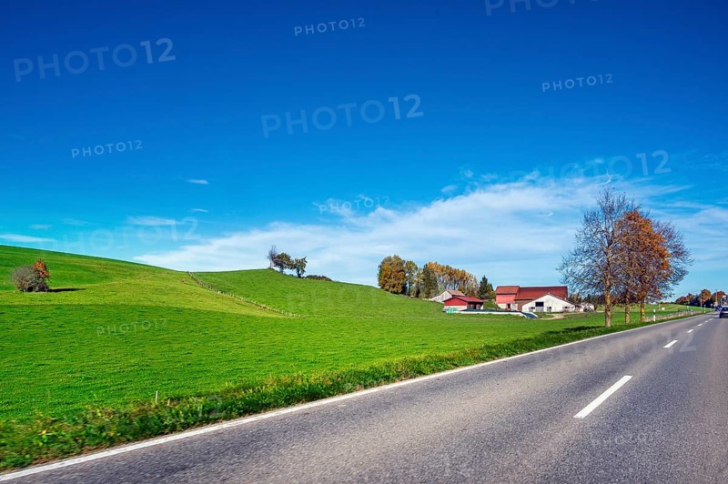 Autumn country road, meadows, trees and farm, blue sky near Leutkirch, Allgäu, Bavaria, Germany, Europe