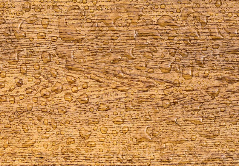 Great wooden background with a section from an oak plank with water drops on it. The wood, which is treated with a special oil, is waterproof