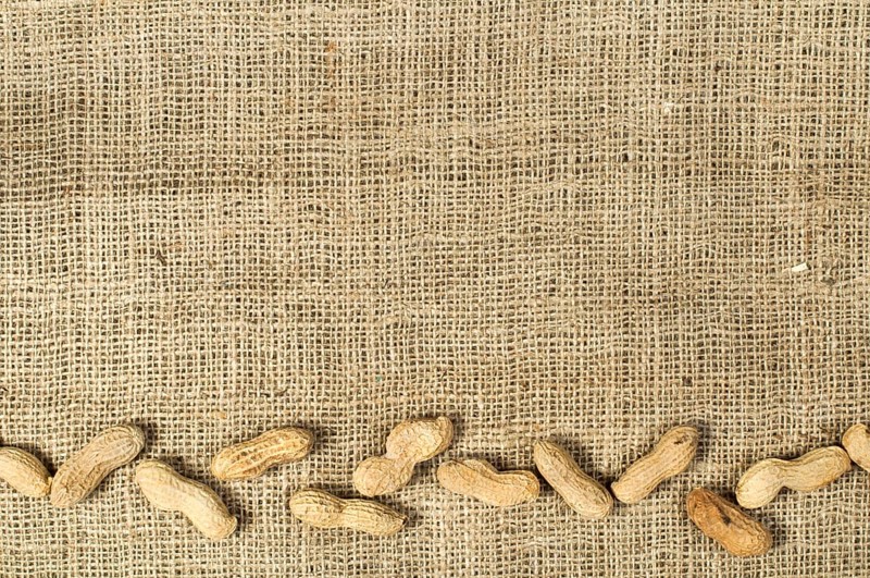Closeup Peanuts on burlap.Raw peanuts in shells and shelled peanuts. Arranged as border