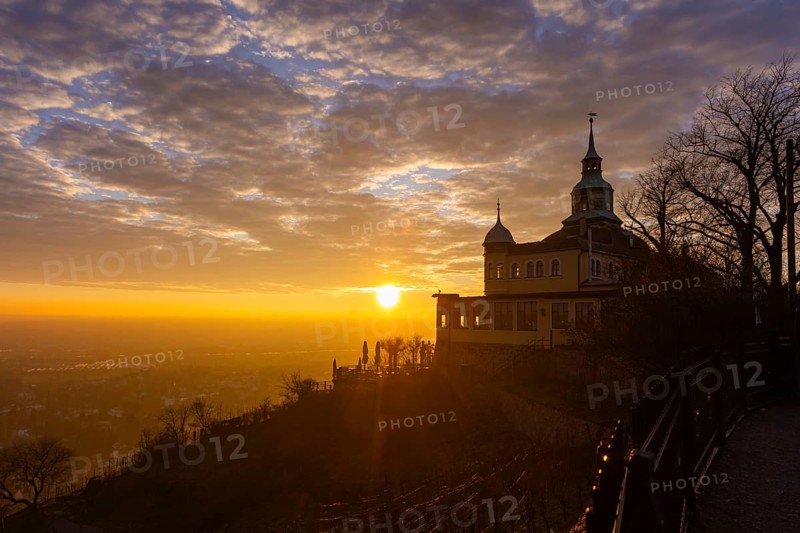 Am Spitzhaus ind den Weinbergen, Radebeul, Saxony, Germany, Europe