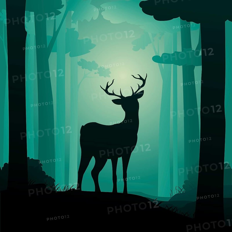 Roebuck in the forest