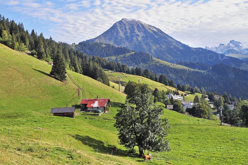 Swiss Alps. Red roof of a Swiss chalet on a steep hillside